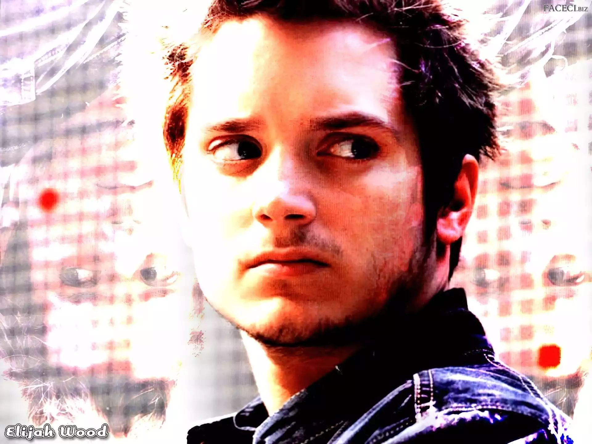 broda, Elijah Wood, twarz